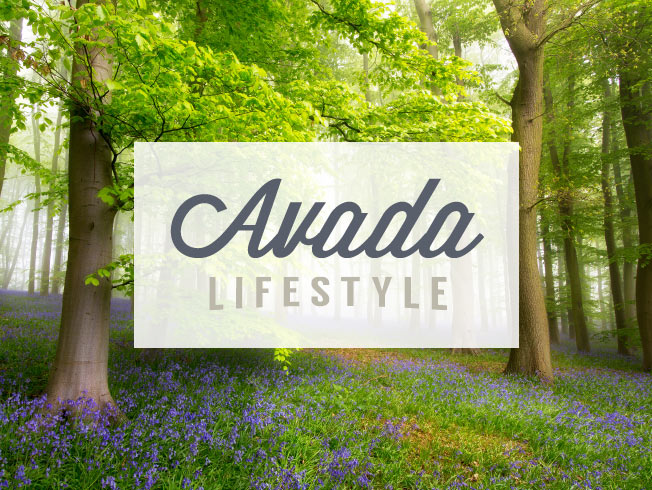 Avada - Lifestyle