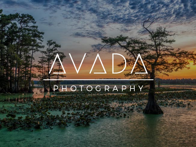 Avada - Photograpy